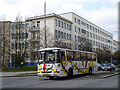 Francouzsk tda, foto P. Ernst